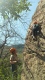 IMG_20250405_134455_759