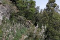 2026-05-03_14-50-20_compressed