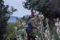 2026-05-03_14-59-40_compressed