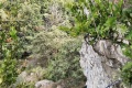 2026-05-03_15-57-24_compressed