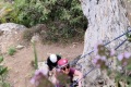 2026-05-03_16-08-00_compressed