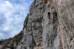 PXL_20251130_115436498