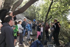 St Jeannet (65)