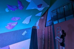 PXL_20251206_184723891.MP_