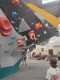 IMG-20241208-WA0007