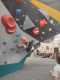IMG-20241208-WA0008