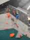 IMG-20241208-WA0011