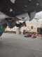 IMG-20241208-WA0015