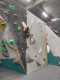 IMG-20241208-WA0034