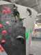 IMG-20241208-WA0043