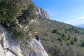 IMG_20260201_115942