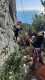 IMG-20250112-WA0004