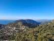 IMG-20250112-WA0007