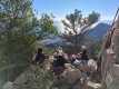 IMG-20250112-WA0018