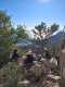 IMG-20250112-WA0020