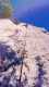 IMG-20250112-WA0022