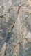 IMG_20250511_143909_553