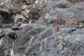 PXL_20261011_120057533