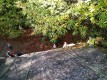 IMG_20221116_110018