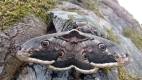 IMG-20250501-WA0017