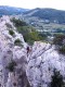 IMG_20230520_122256