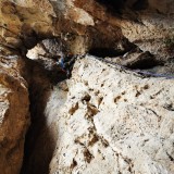 IMG_20230520_113126
