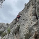 IMG_8708