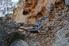 Stage-Corse-2024-1041