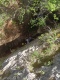IMG20250529120525