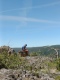 IMG20250529120713