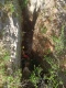 IMG20250529120754