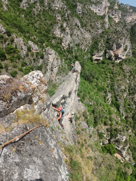 IMG20250531121937
