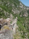 IMG20250531122455