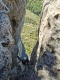 IMG_20250530_103231