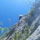 IMG_20250530_145652