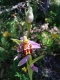 IMG_20250530_150109