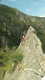 IMG_20250531_141541_361