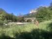 IMG_6519