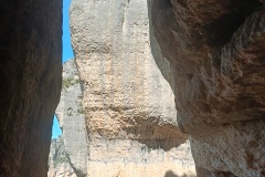 IMG20250529110136