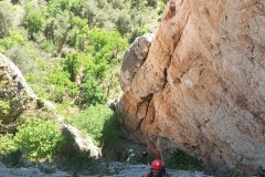 IMG_20250529_163317_601