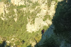 IMG_20250530_100315_883