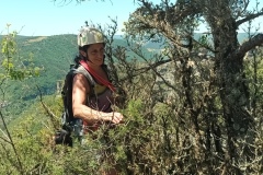 IMG_20250530_131601_636