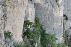 IMG_20250530_200415