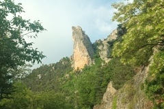 IMG_20250531_084421_844