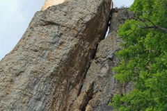 IMG_20250531_085511
