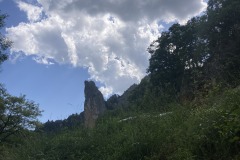 IMG_6547