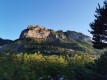IMG_20220529_063506
