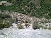 IMG_20220529_110704