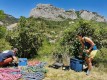 IMG_20220529_130746