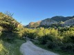 IMG_3482